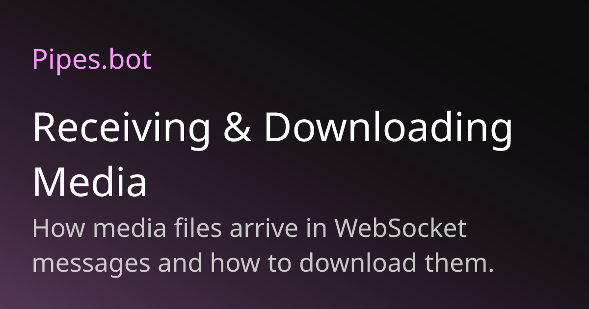 Receiving & Downloading Media